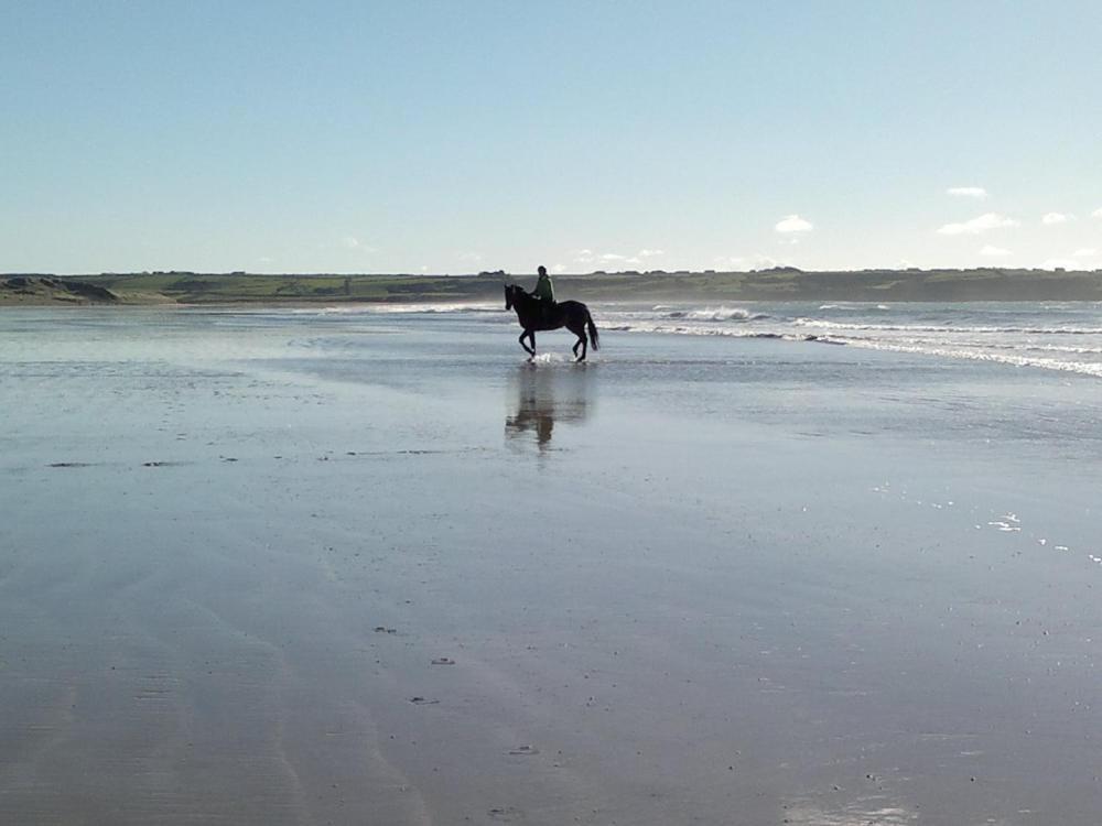 Glenart House Bed & Breakfast Tramore Dış mekan fotoğraf